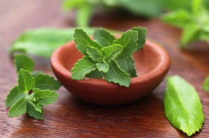 Stevia With Other Medicinal Herbs